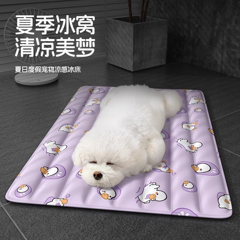 3ca61c75-4172-4e81-920f-4fd1e2ffec7d.jpe