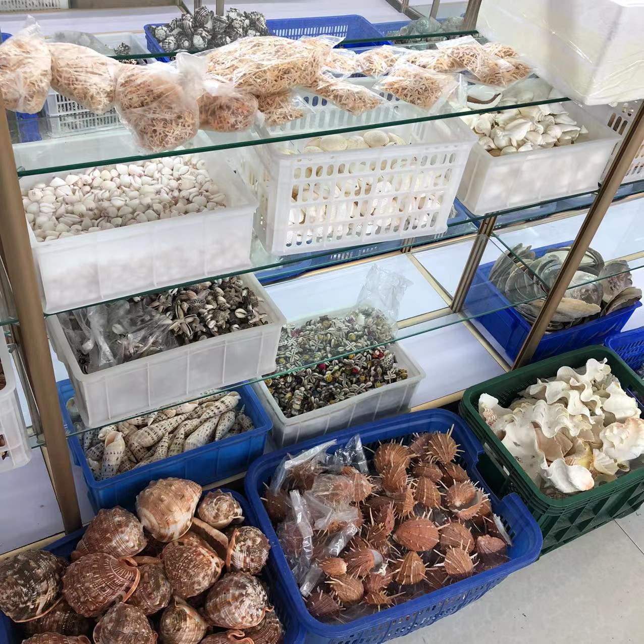 微信图片_20220115214031