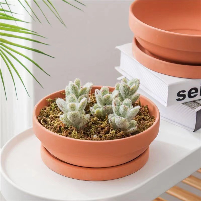 f8264dac7a18dca7a19d6a31582744