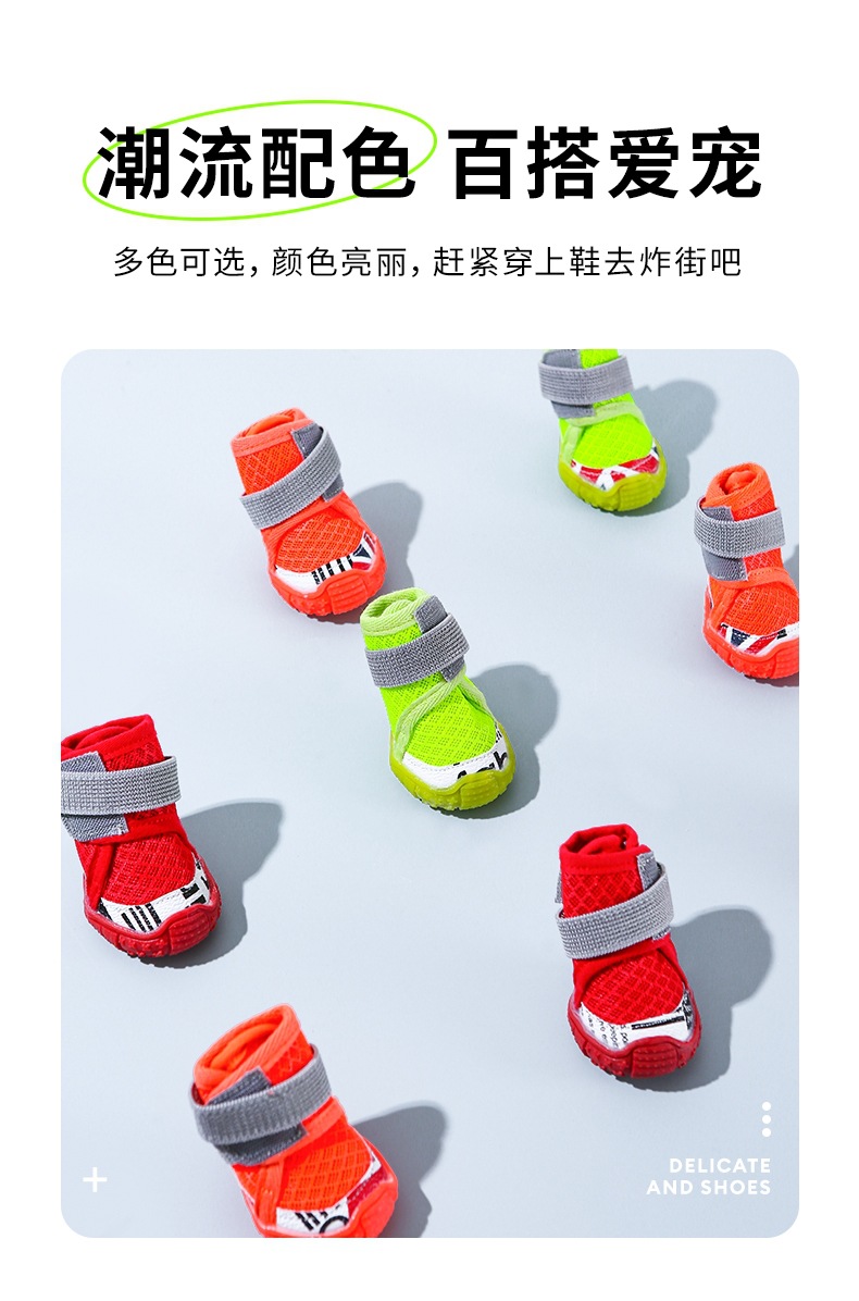 QQ图片20250402095527