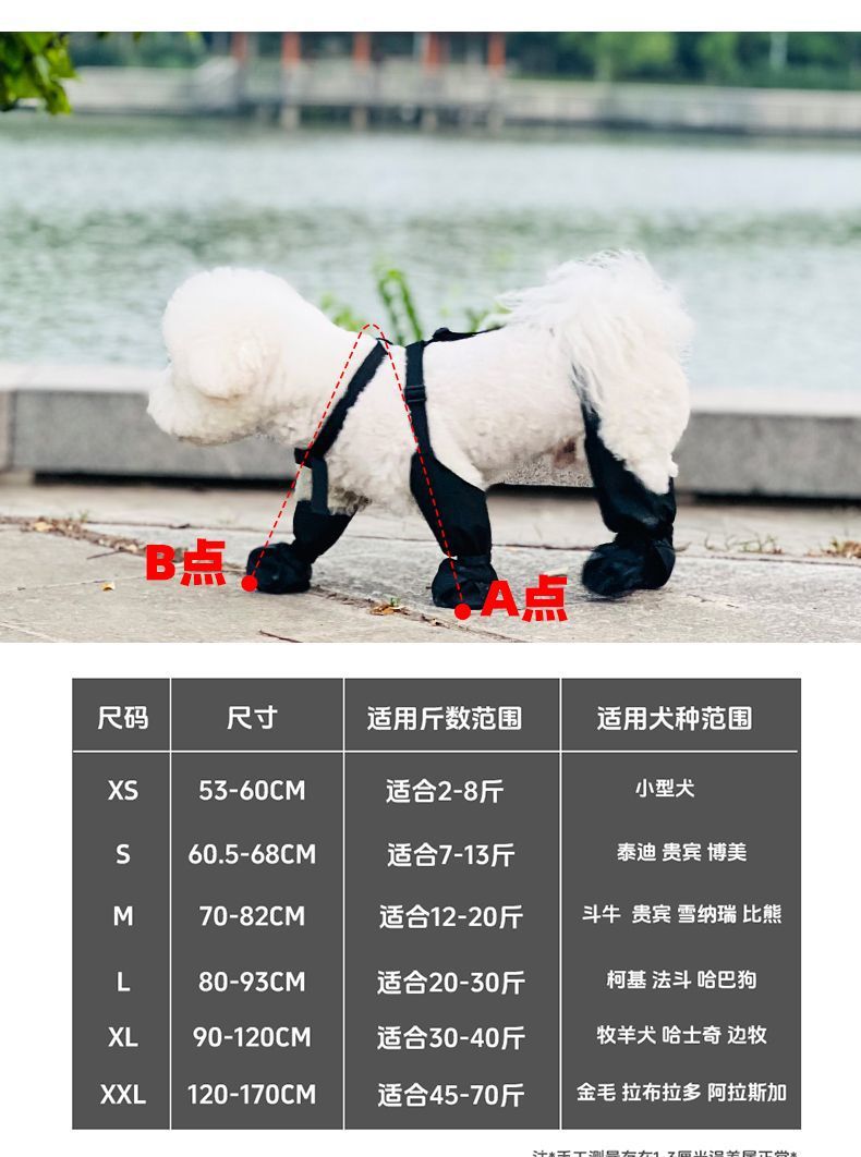 2ade951a-973a-4abf-ba40-2ee093d9a04f.jpe