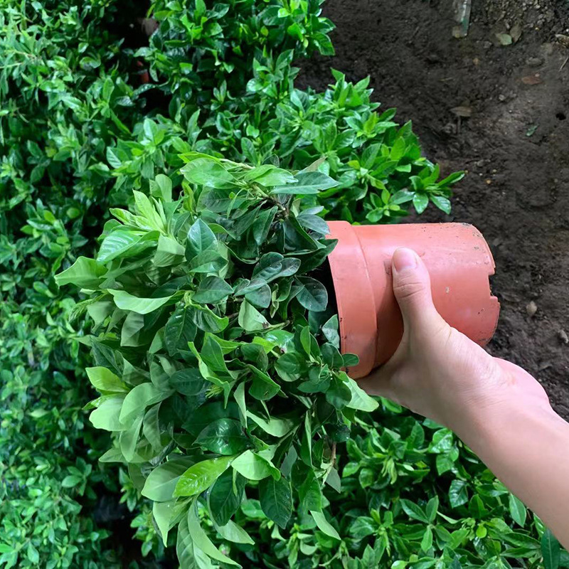 微信图片_20210731172635