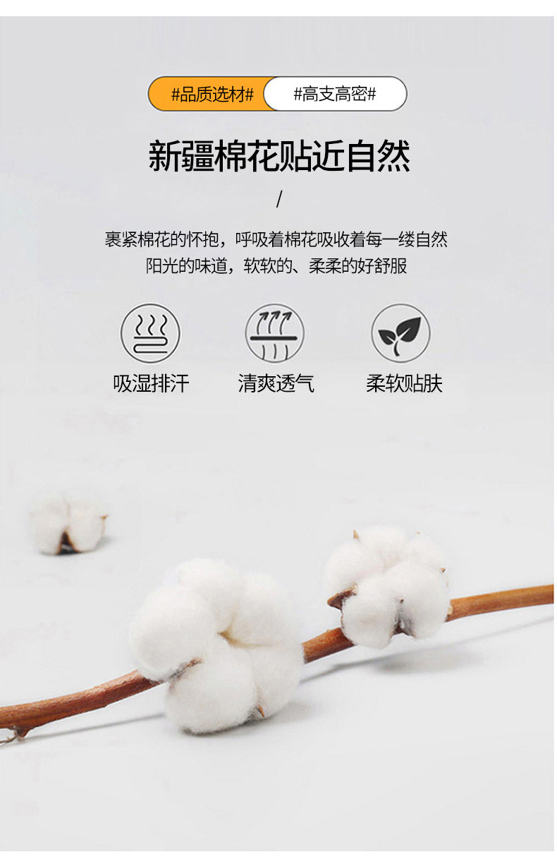 a12f5d12-eae0-4a64-8e1c-0722d3e76bba.jpe