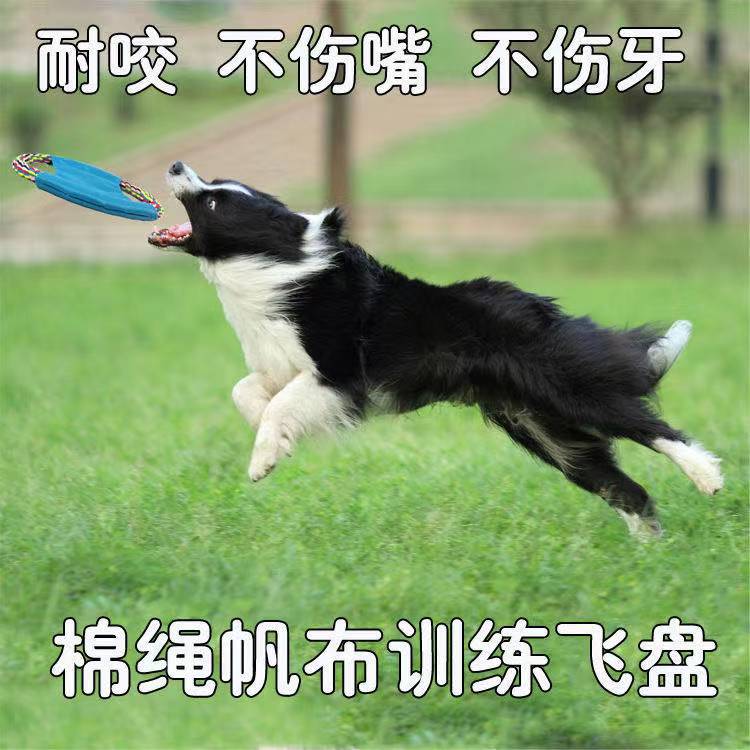 微信图片_202110202130081