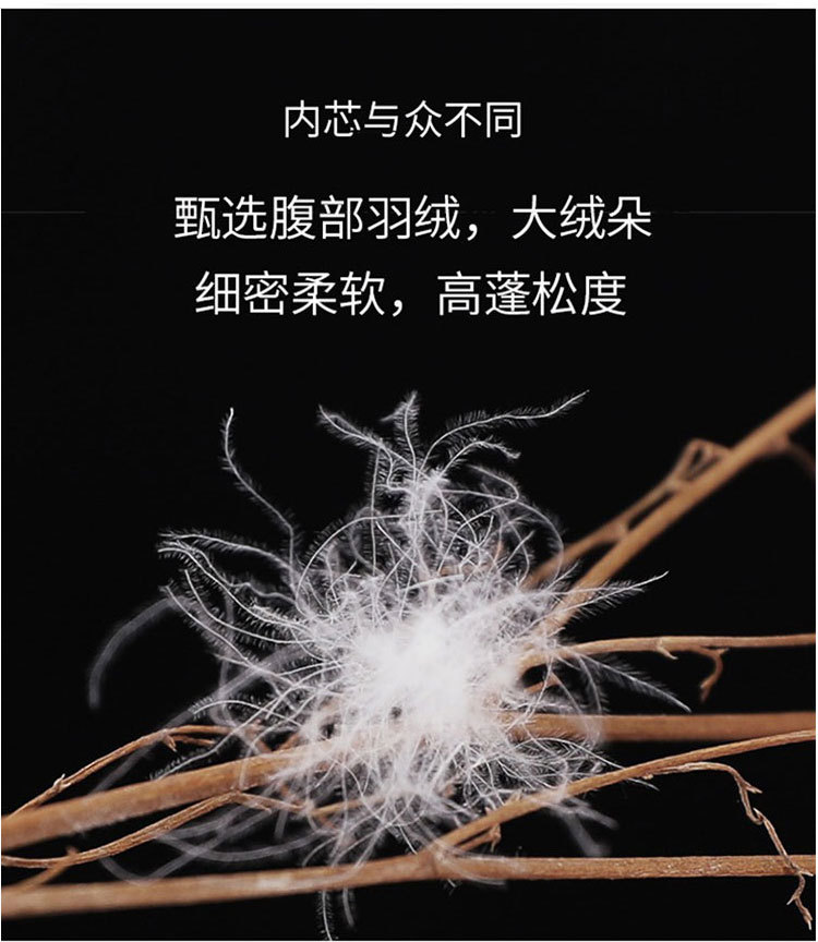 未标题-1_07.jpg