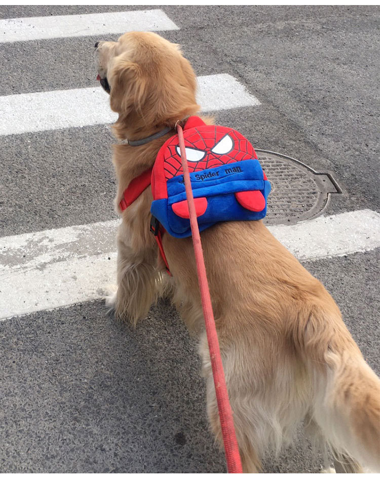 O1CN01KXqpvI1GEGI8umQCr_!!7744