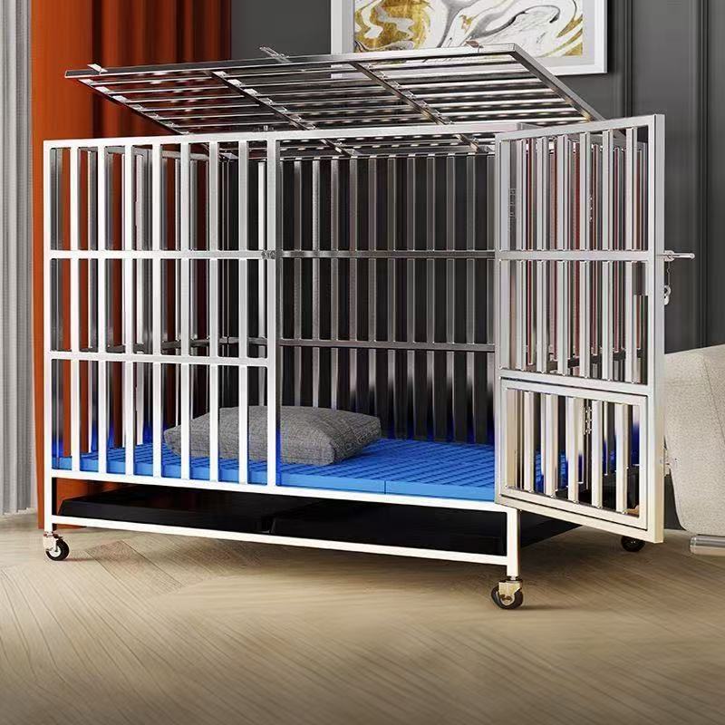 f0276692-c53a-4e21-a0d8-b7d1763fcde8.jpe