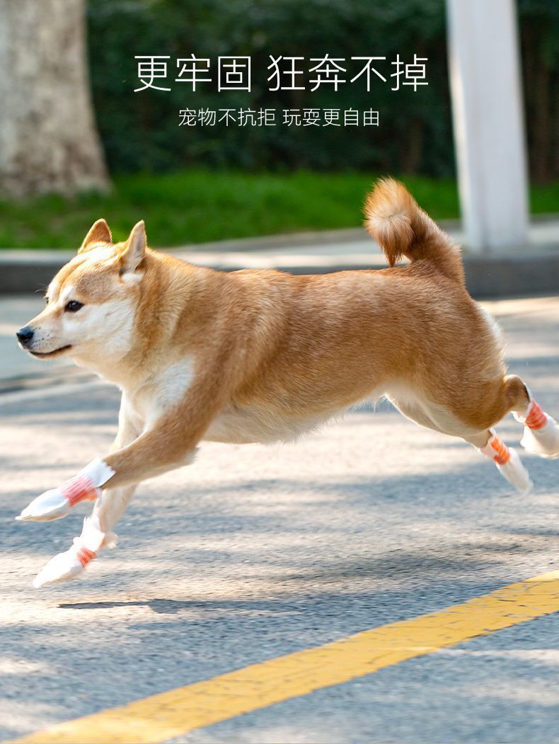 66556f88-491d-4532-90a2-16dbebf52640.jpe