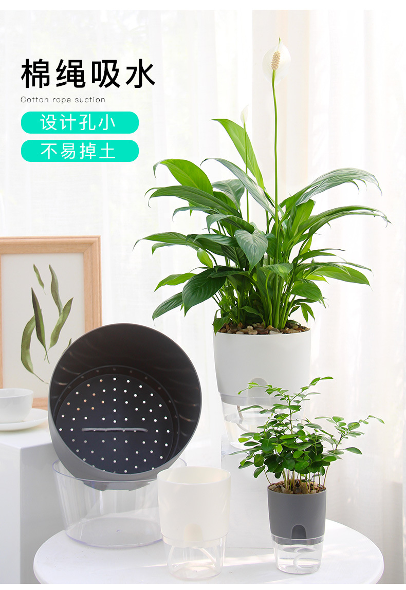 AS高透明系列_08