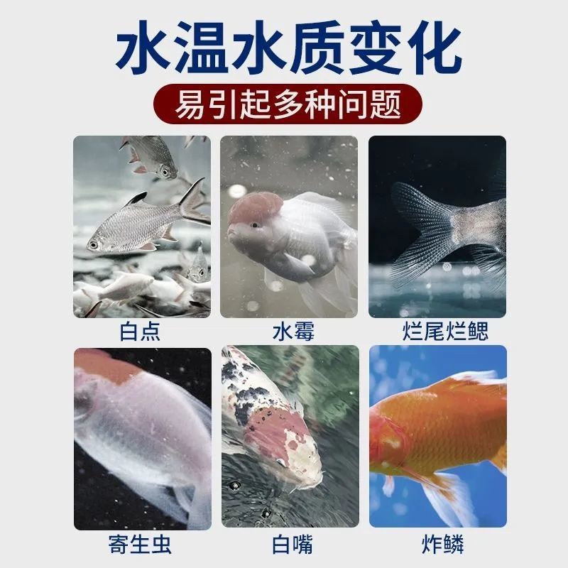 dbb4c6a3-d862-4df7-ab15-81160fd9dbb2.jpe