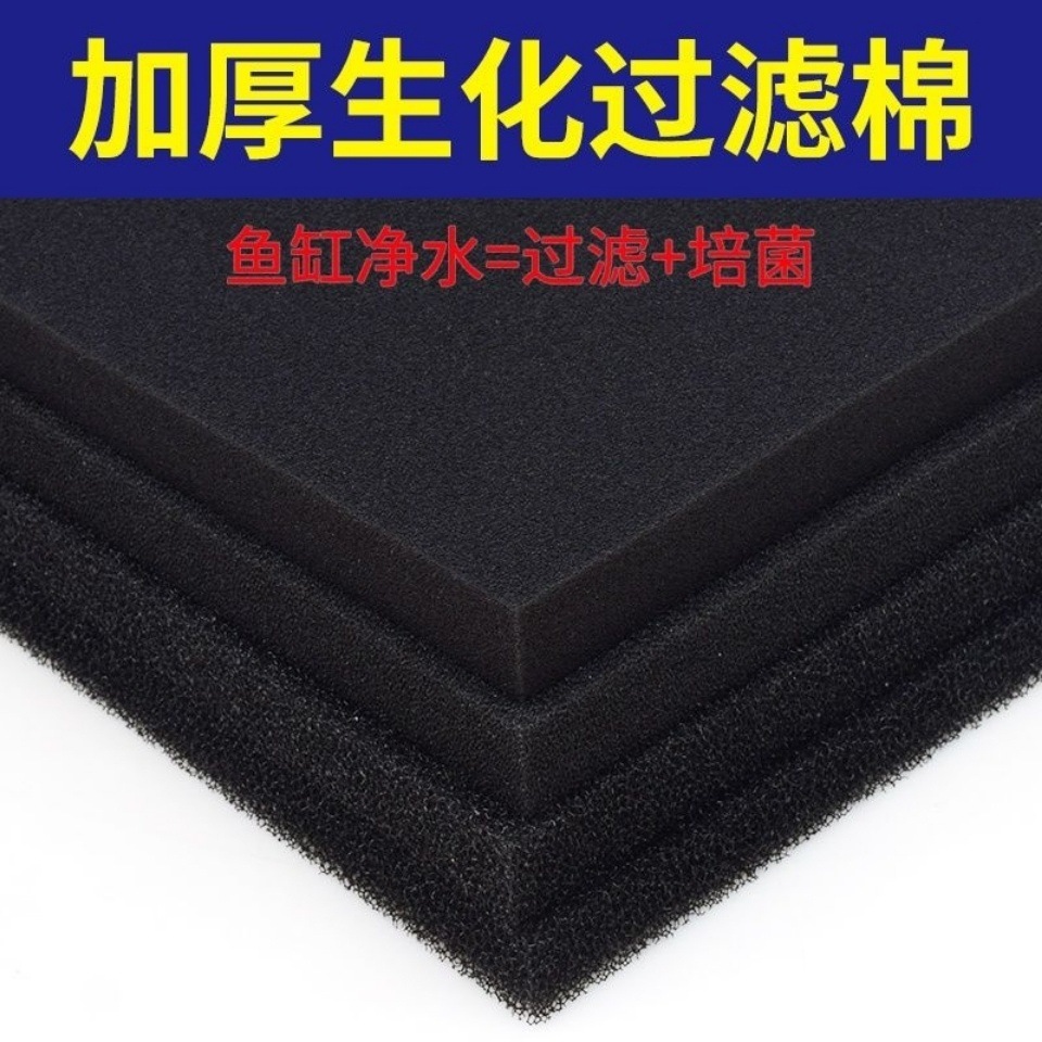 a90237d5-77f1-4549-a76a-98e241e10661.jpe