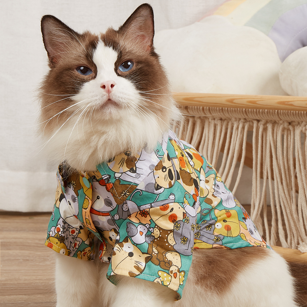 猫猫衣服狗狗衬衫