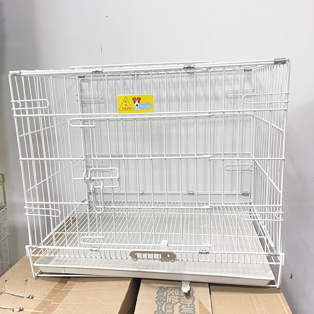 微信图片_20251117142323_1184_9