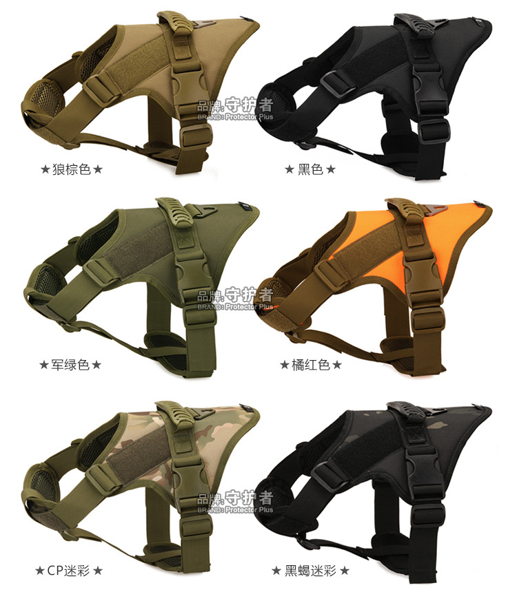 04-信息_04.jpg