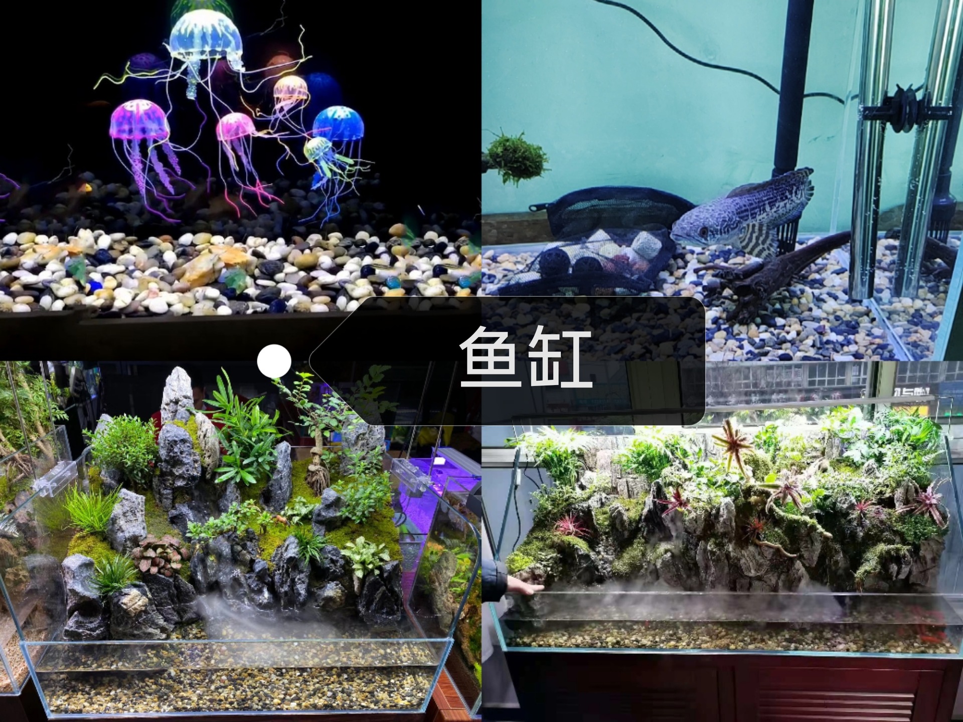 Collage_20221223_134834_edit_2