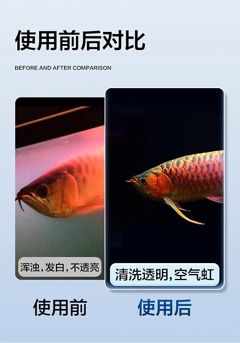 3c67c4f2-6075-44f0-807c-9be38374cb9c.jpe