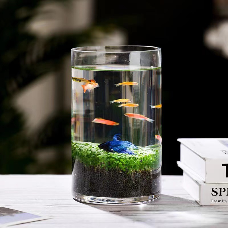 de83cfaa-e162-4a5e-bdcd-3fc153d149c6.jpe