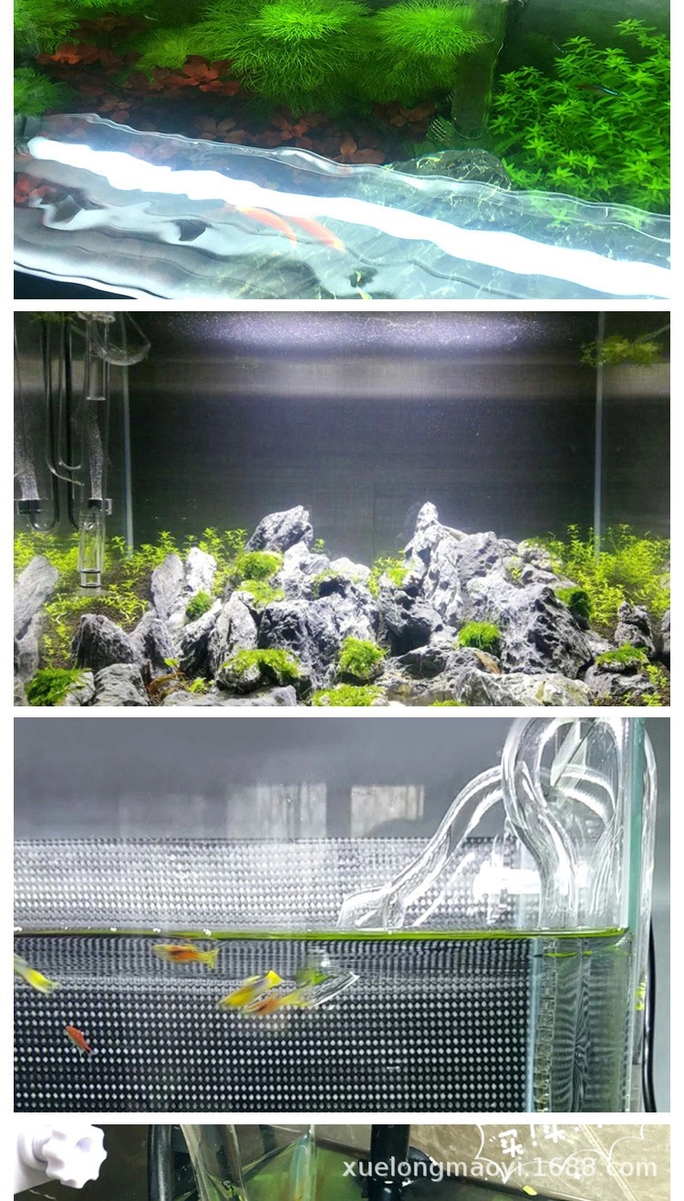 10387609755_1833854618.jpg_.we