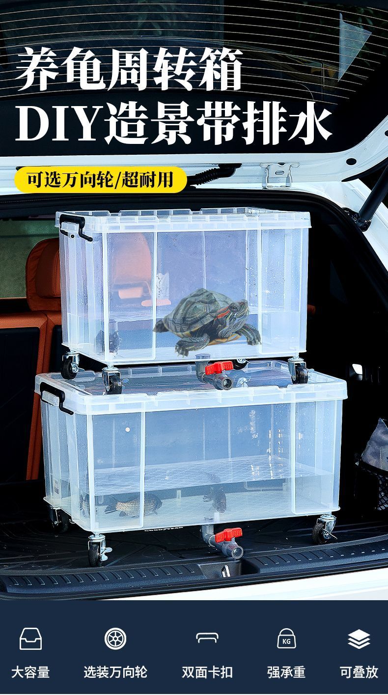 24990e98-9560-48b9-9ae8-8a82950cf6aa.jpe