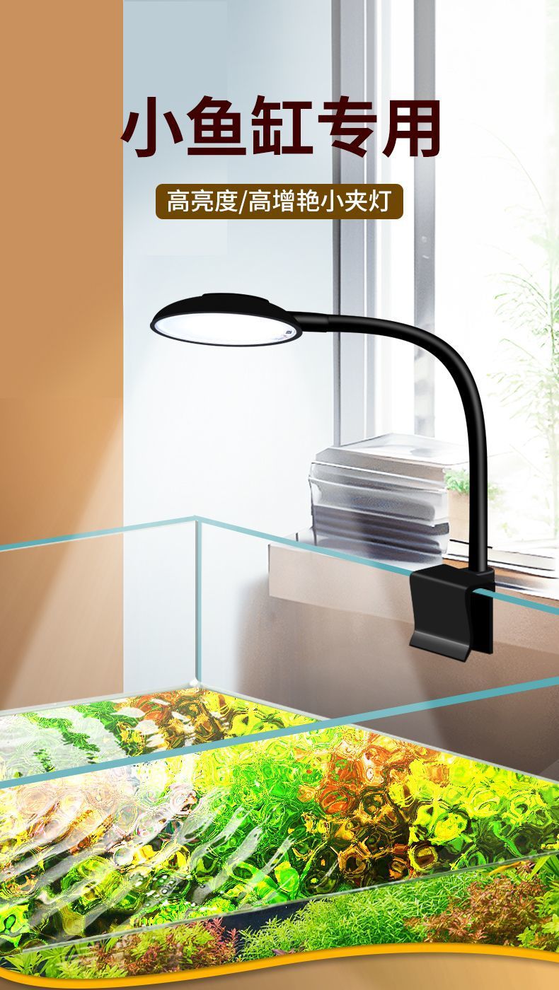 7d1f7c18-500a-4c86-94d4-1cbebe3058f4.jpe