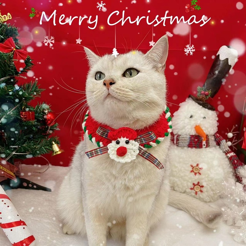 e5b90435d78b43647a9983d46370e5