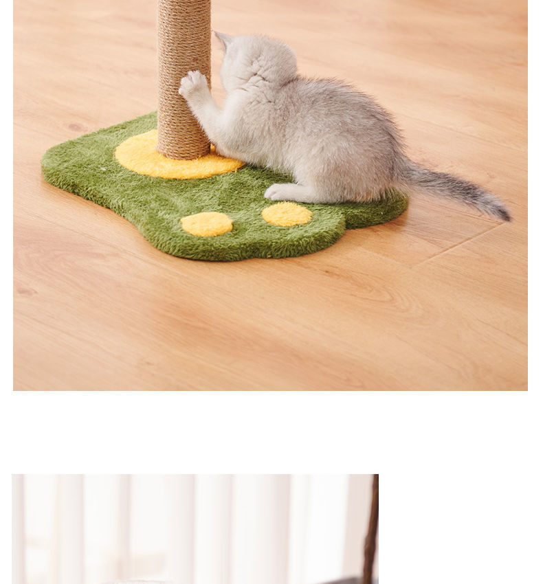 04e640f2-91e5-486d-b20f-2e67750ee135.jpe