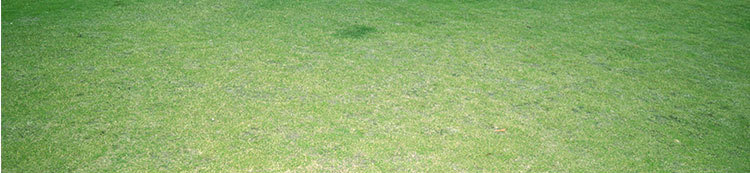 莫崎户外超大天幕6_7双峰天幕遮阳棚野营炊事帐沙滩凉棚防雨凉