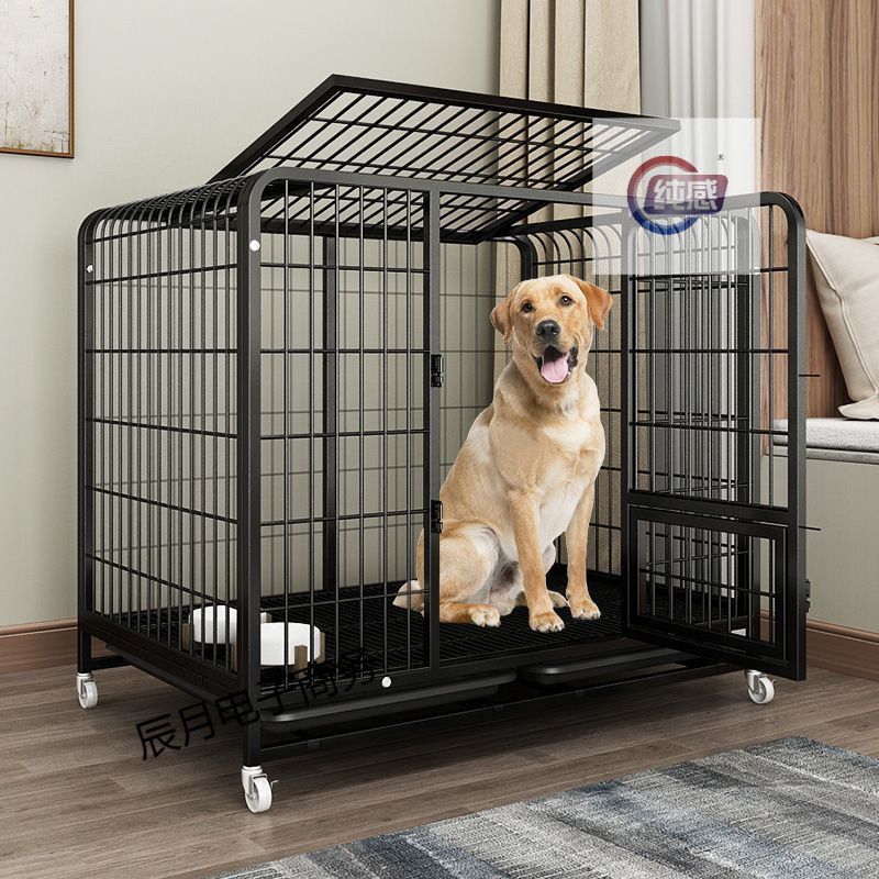 0b4d0ac6-9b0a-494c-a060-9654fd47b79b.jpe