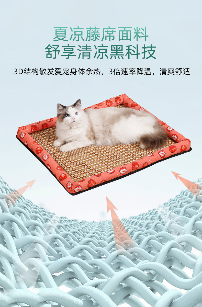 d21e9390-479e-4807-9213-3c8453c8042d.jpe