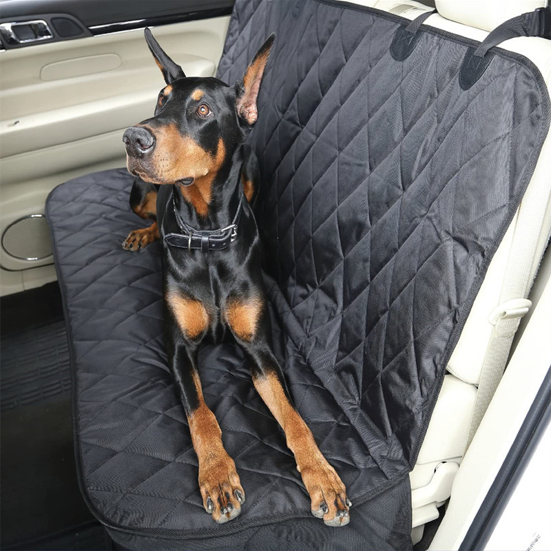 黑色____白色-031