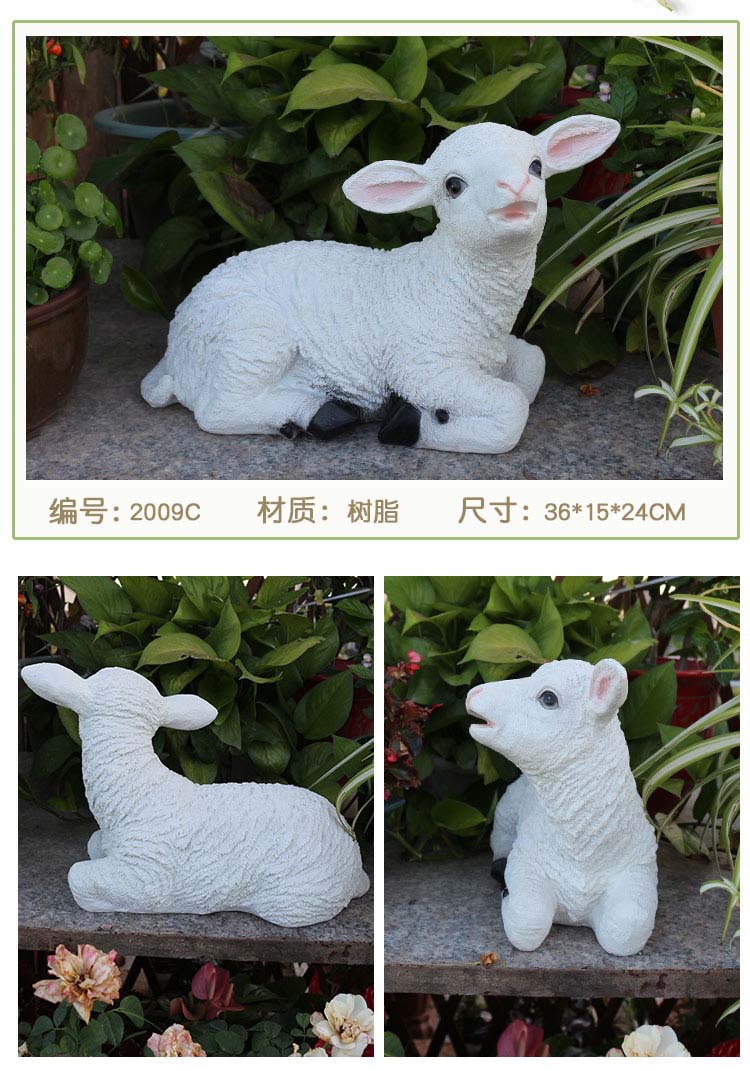 绵羊_07.jpg