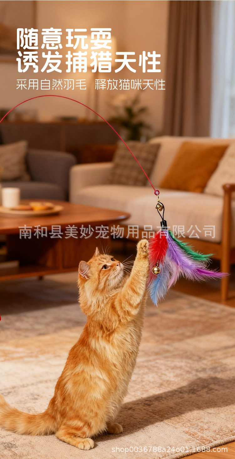 逗猫棒-详情页_05.jpg