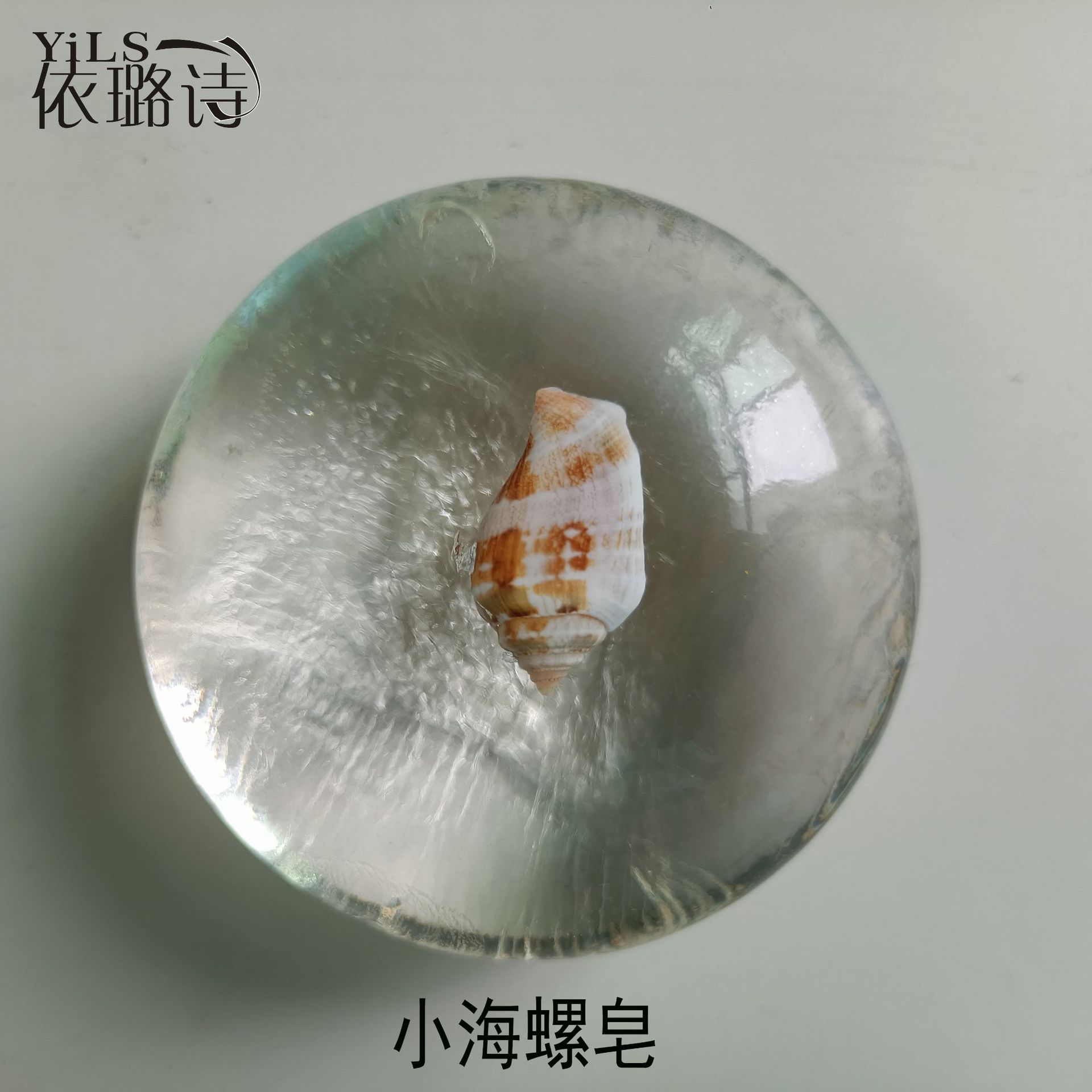 新款小螺.jpg