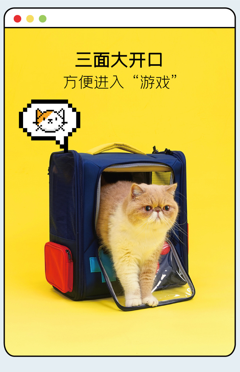 详情页 (5).jpg