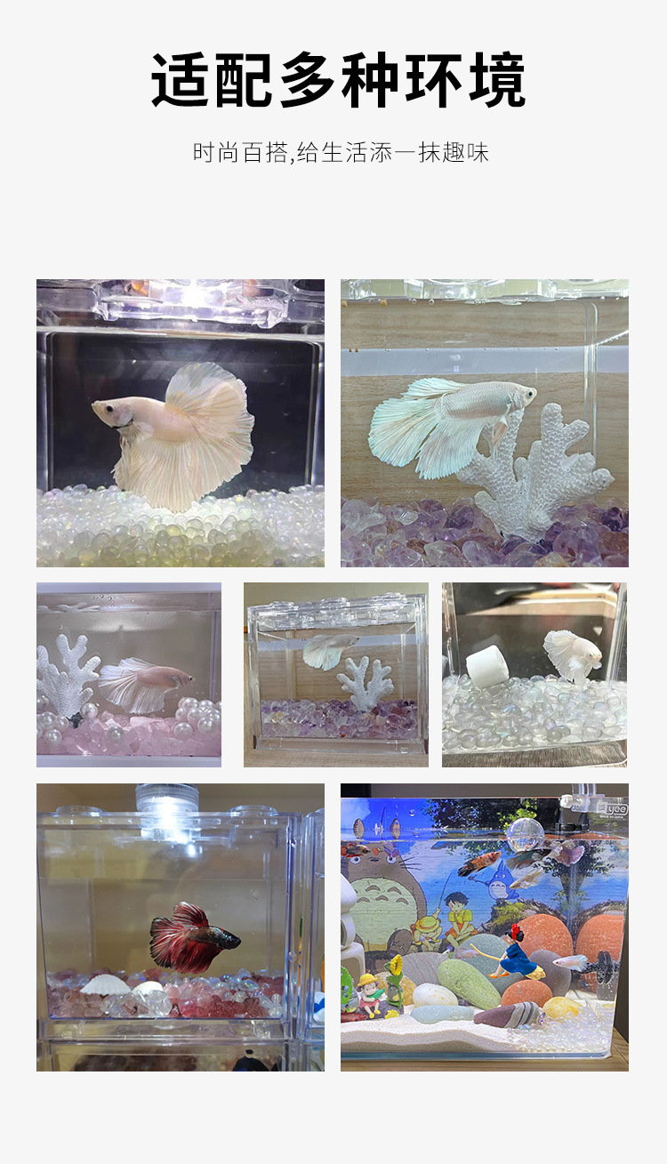 1ff92329-9f3a-44ef-acd2-abd564bb2fe1.jpe