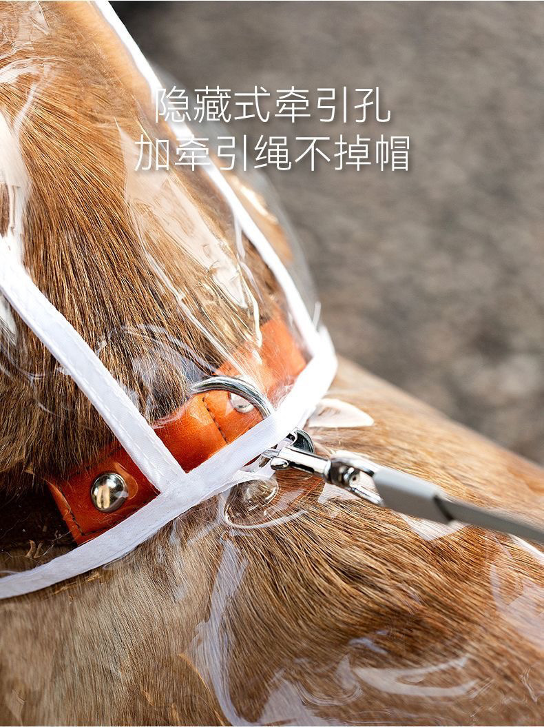 a4792a53-6ac9-4da9-9610-0a8c1886debf.jpe