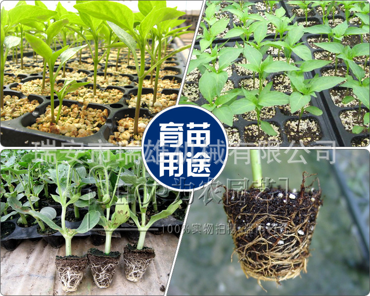 2317533292_782968901