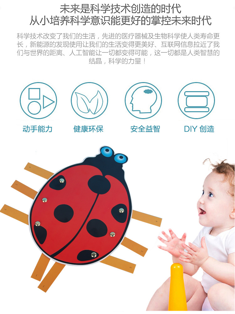 昆虫运动_02.jpg