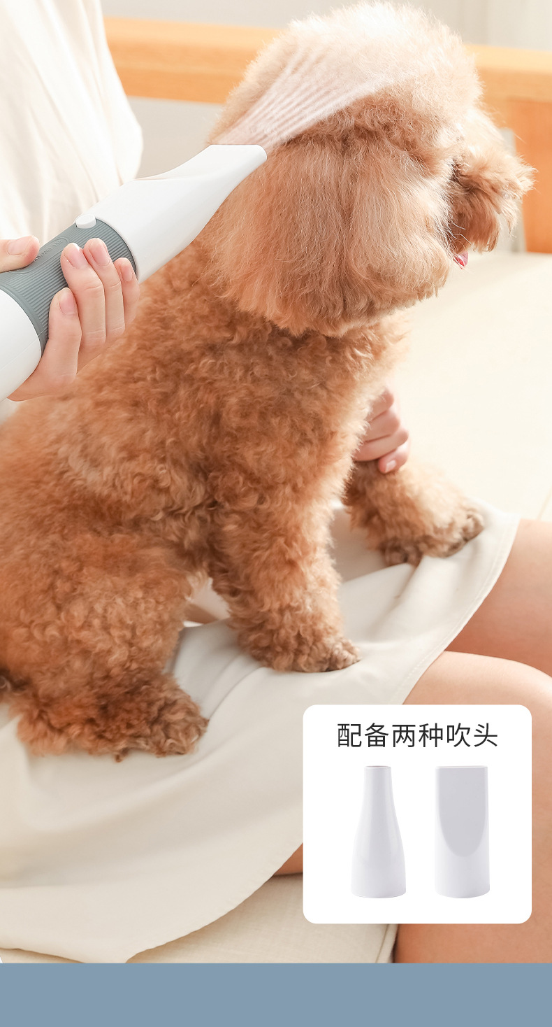 宠物吹毛机_16.jpg