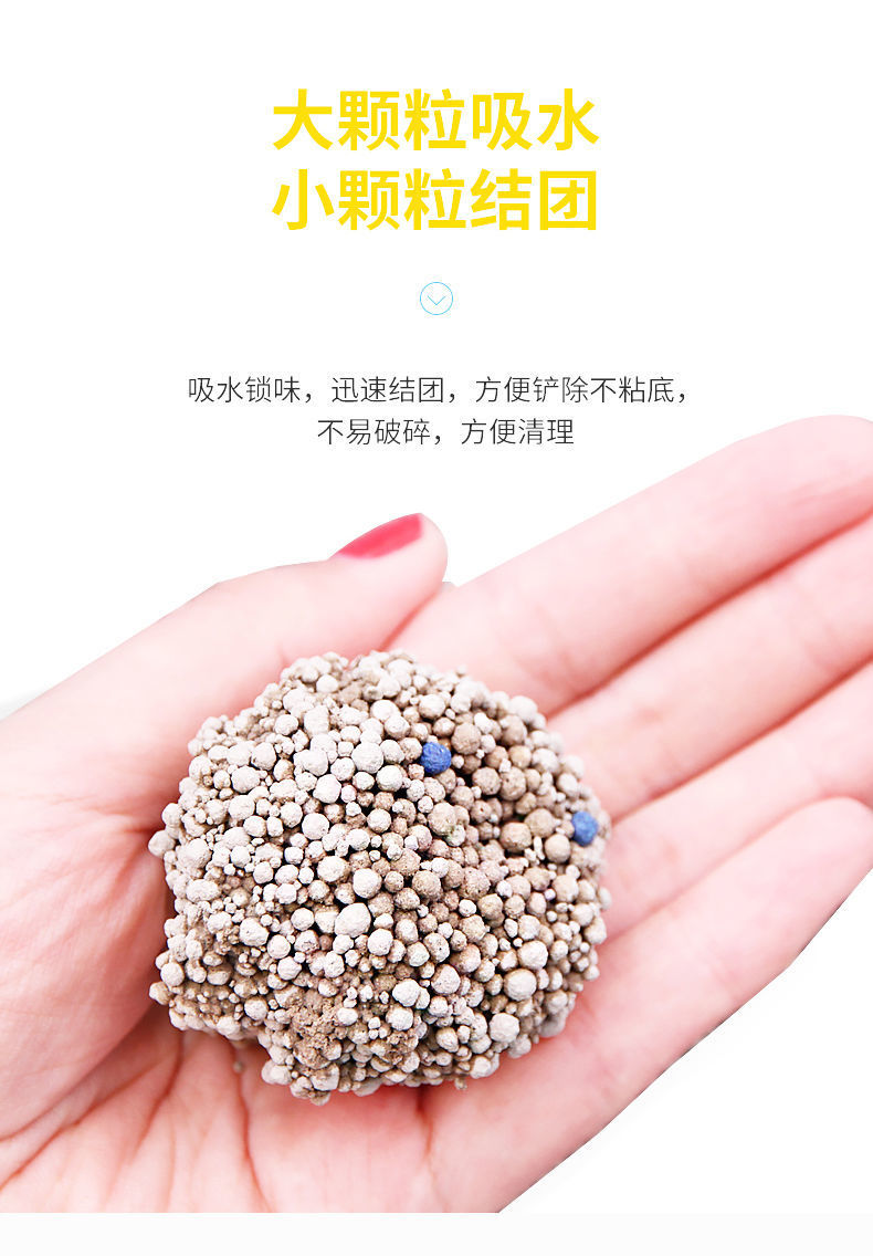 248591ad-f3cc-4ac3-8909-a882e14822ea.jpe