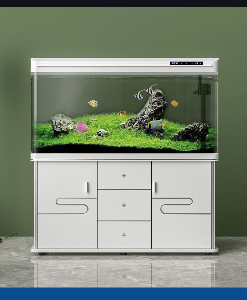 b33fa549-0def-4305-a116-7c7a83506bfc.jpe