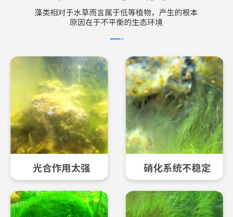 除藻剂_03.jpg
