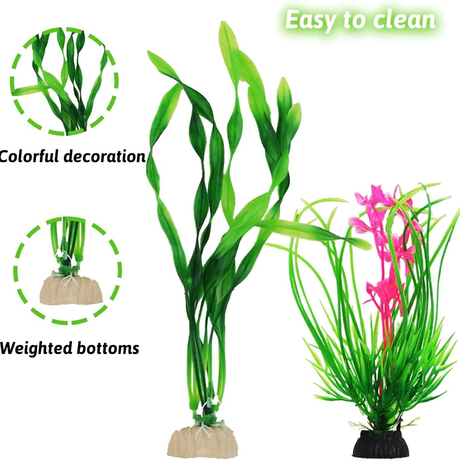 2025-03-02 17:10:48.jpg