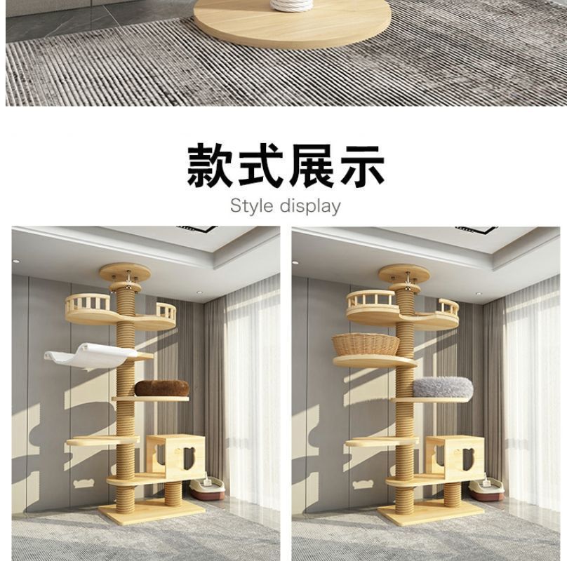 709a7944-8a47-4e9b-9cbc-7f5f98359cd3.jpe