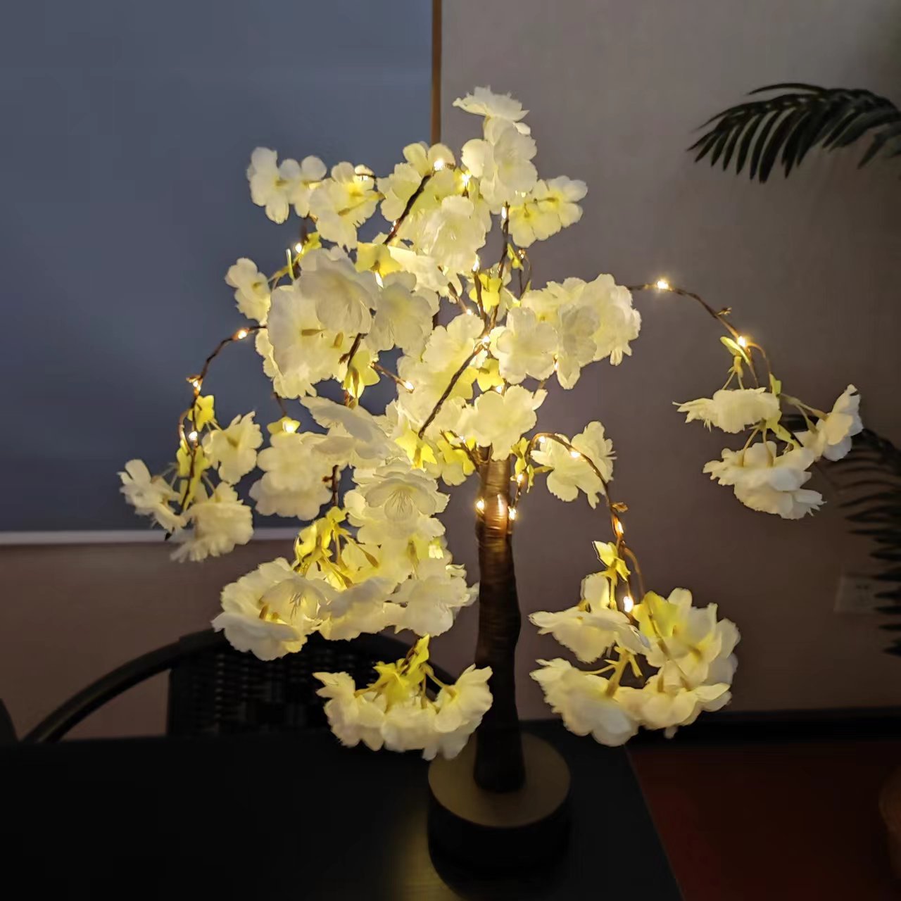 微信图片_20240530071305