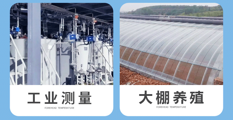 30厘米温度计_04