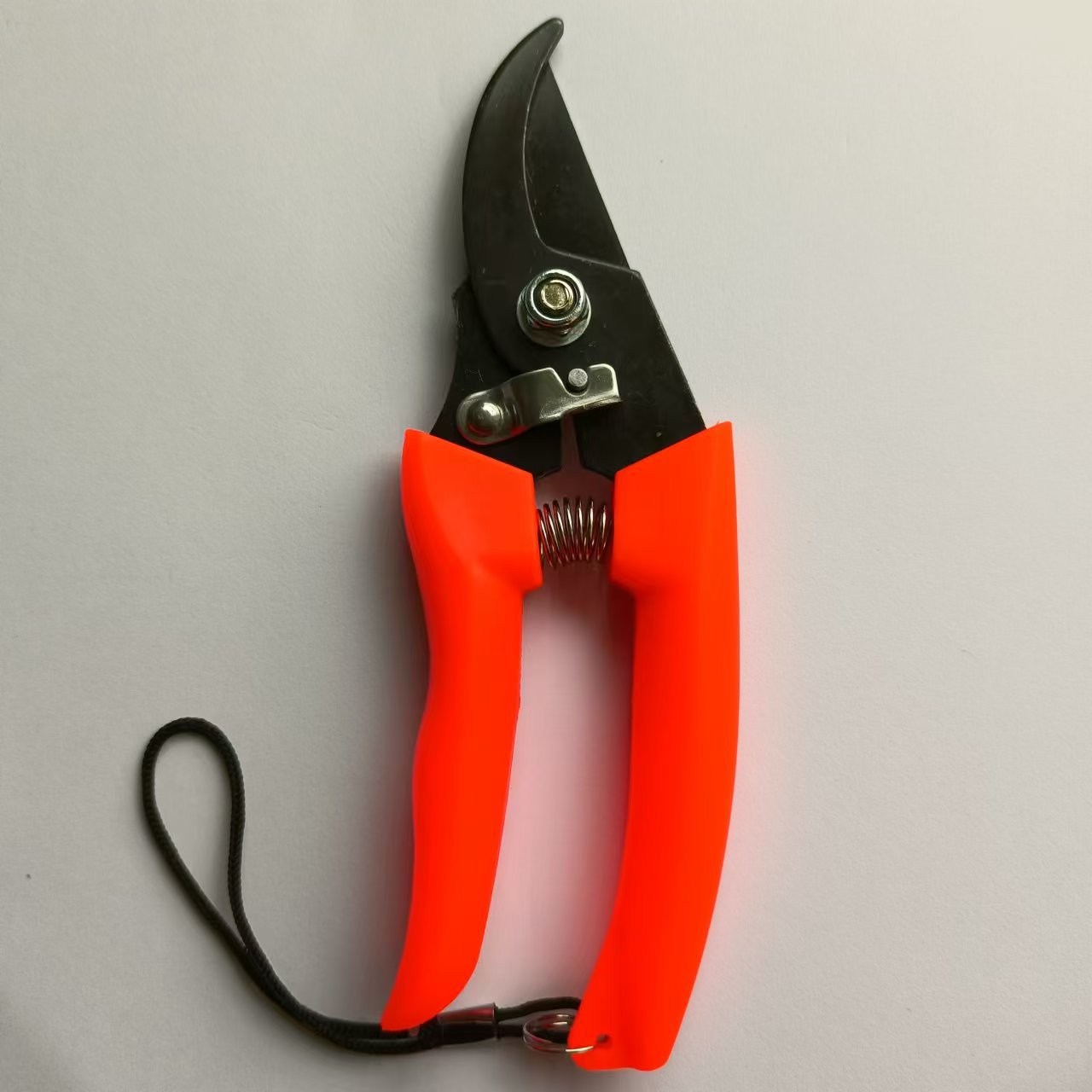 微信图片_20240520145843