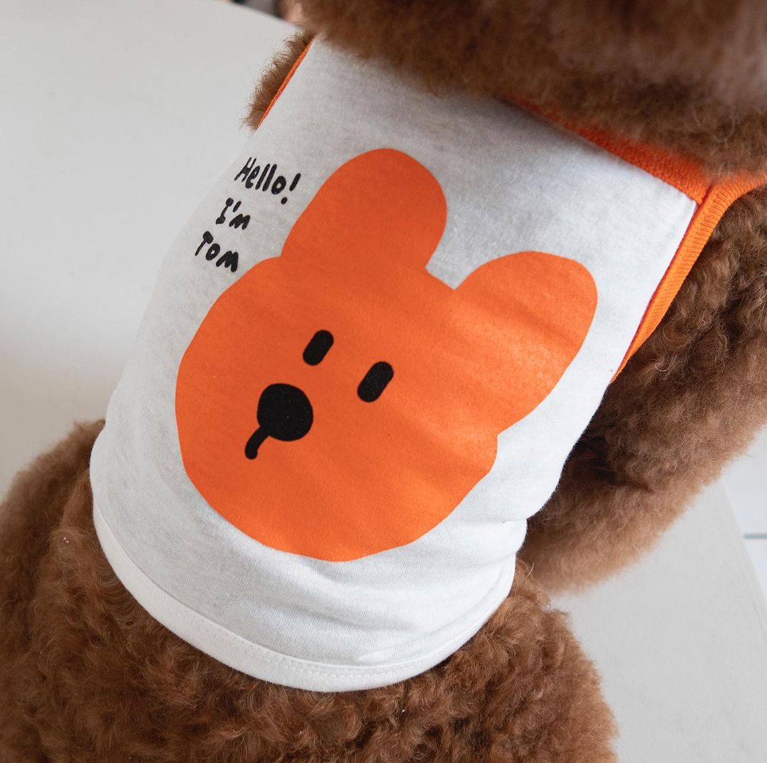 coteacote_home_279936837_13140