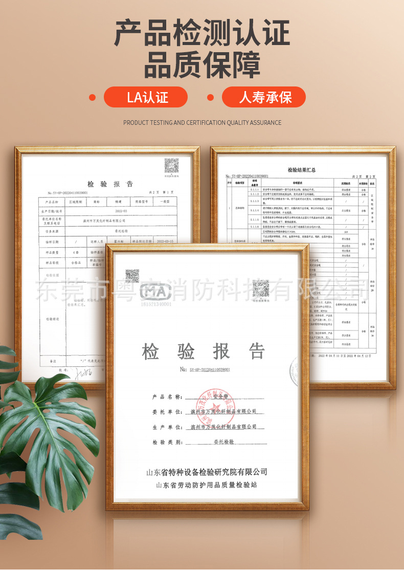 五点式安全带_03.jpg