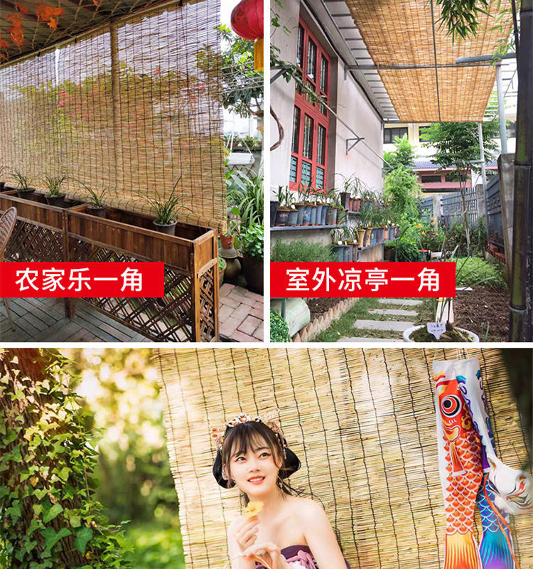 b40955e2-7b01-4d6e-be31-3d6ef59ecb6c.jpe